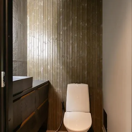 Luxury Lapland * 罗瓦涅米